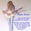 Peter Ferri